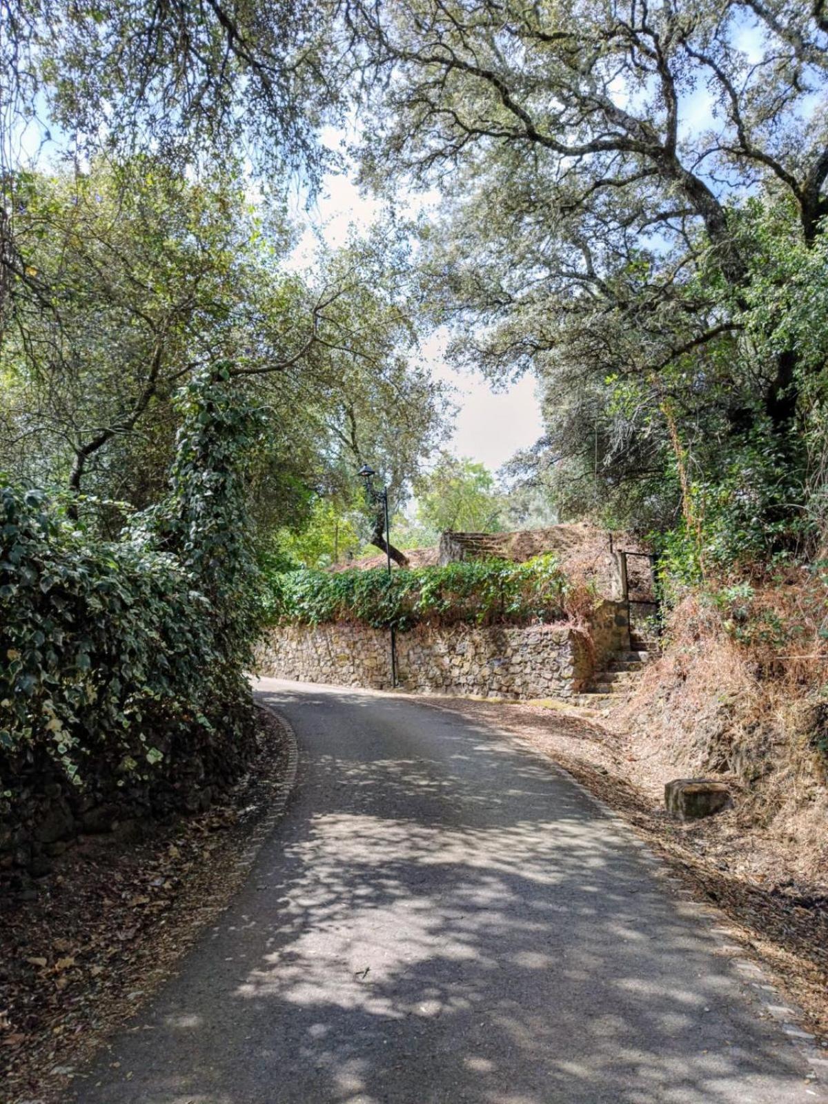 Casa Rural El Olivo Арасена Екстер'єр фото