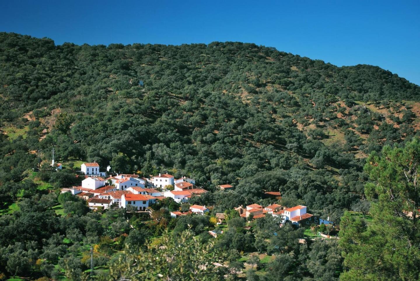 Casa Rural El Olivo Арасена Екстер'єр фото